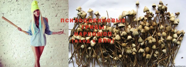 меф VHQ Александровское