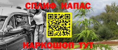 стаф Берёзовский