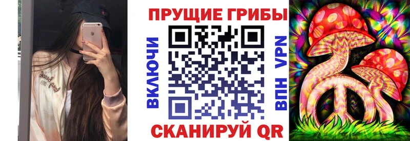 закладка Курск Галлюциногенные грибы Psilocybe